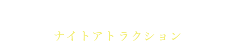 ATTRACTIONS ナイトアトラクション